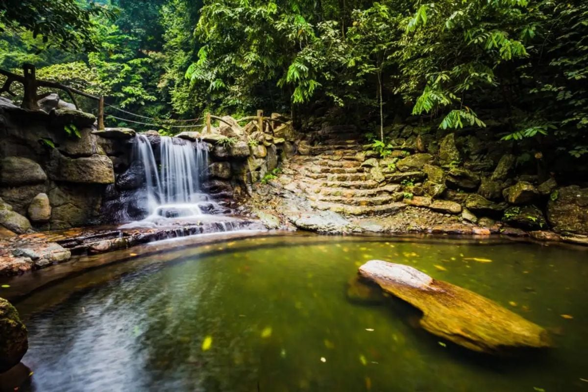 Vườn Quốc gia Ba Vì 